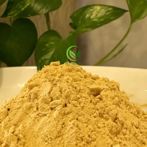 Bột Chiết Xuất Trà Xanh