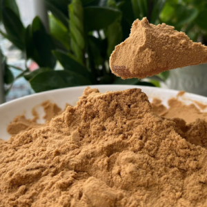 Bột Chiết Xuất Cascara